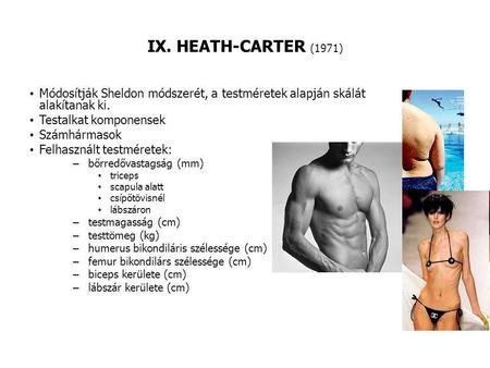 IX. HEATH-CARTER (1971) Módosítják Sheldon módszerét, a testméretek alapján skálát alakítanak ki. Testalkat komponensek Számhármasok Felhasznált testméretek: