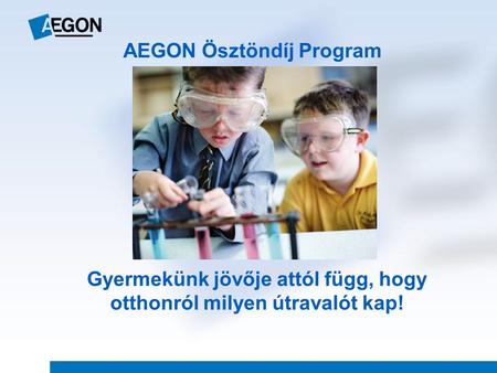 AEGON Ösztöndíj Program