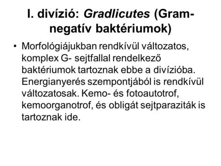 I. divízió: Gradlicutes (Gram-negatív baktériumok)