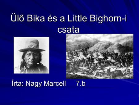 Ülő Bika és a Little Bighorn-i csata