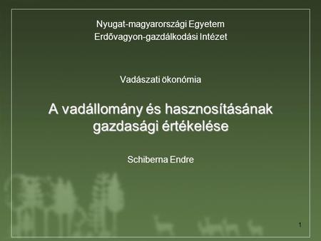 Nyugat-magyarországi Egyetem Erdővagyon-gazdálkodási Intézet