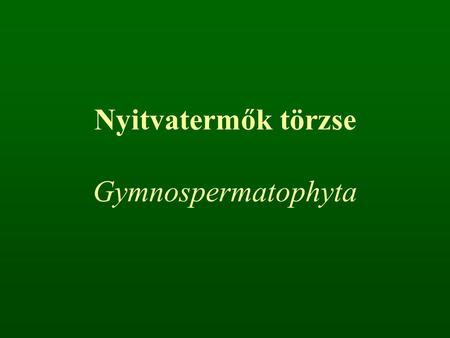 Nyitvatermők törzse Gymnospermatophyta.