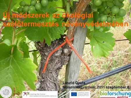 Új módszerek az ökológiai szőlőtermesztés növényvédelmében