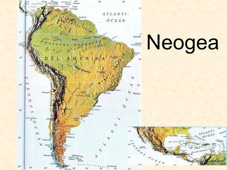 Neogea.
