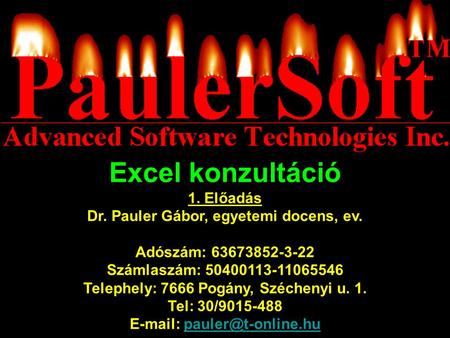 Excel konzultáció 1. Előadás Dr. Pauler Gábor, egyetemi docens, ev.