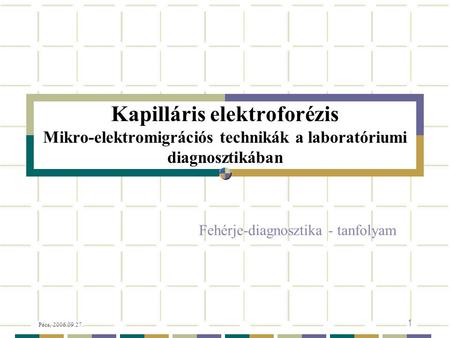 Kapilláris elektroforézis Mikro-elektromigrációs technikák a laboratóriumi diagnosztikában Fehérje-diagnosztika - tanfolyam Pécs, 2006.09.27.