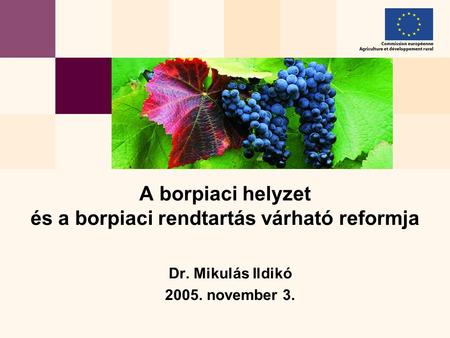 Dr. Mikulás Ildikó 2005. november 3. A borpiaci helyzet és a borpiaci rendtartás várható reformja.