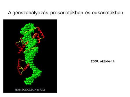 A génszabályozás prokariotákban és eukariótákban