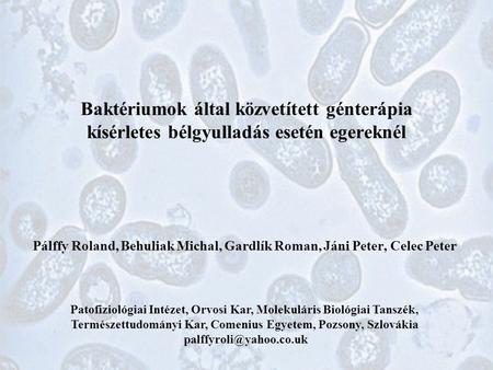 Baktériumok által közvetített génterápia kísérletes bélgyulladás esetén egereknél Pálffy Roland, Behuliak Michal, Gardlík Roman, Jáni Peter, Celec Peter.