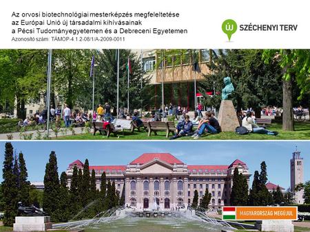 Az orvosi biotechnológiai mesterképzés megfeleltetése az Európai Unió új társadalmi kihívásainak a Pécsi Tudományegyetemen és a Debreceni Egyetemen Azonosító.