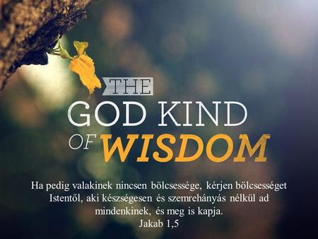 Ha pedig valakinek nincsen bölcsessége, kérjen bölcsességet