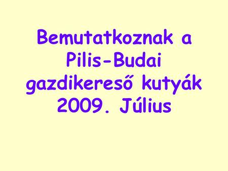 Bemutatkoznak a Pilis-Budai gazdikereső kutyák 2009. Július.