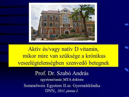 Prof. Dr. Szabó András egyetemi tanár, MTA doktora