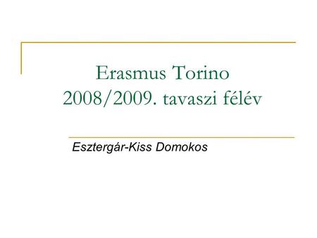 Erasmus Torino 2008/2009. tavaszi félév Esztergár-Kiss Domokos.