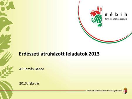 Erdészeti átruházott feladatok 2013 Ali Tamás Gábor 2013. február.