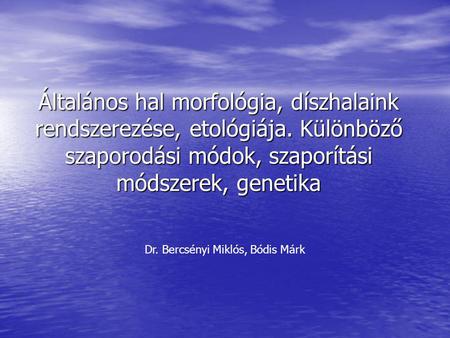 Dr. Bercsényi Miklós, Bódis Márk