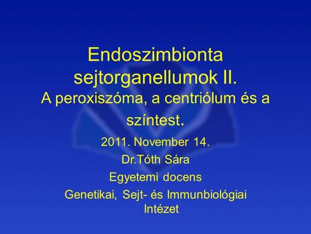 Endoszimbionta sejtorganellumok II.