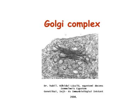 Golgi complex Dr. habil. Kőhidai László, egyetemi docens Semmelweis Egyetem Genetikai, Sejt- és Immunbiológiai Intézet 2008.