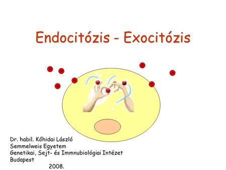 Endocitózis - Exocitózis