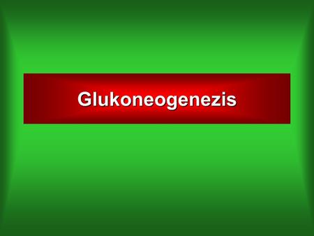 Glukoneogenezis.