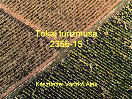 Tokaj turizmusa 2356-15 Készítette: Vaczkó Alex. Tokaji Borvidék A Tokaji borvidék vagy Tokaj-hegyaljai borvidék (röviden Hegyalja vagy Tokaj- Hegyalja)