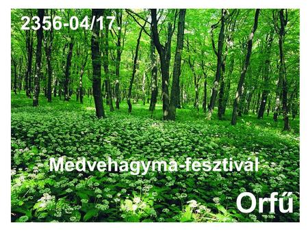 Medvehagyma-fesztivál Orfű 2356-04/17.. A programok színes palettájával, illetve gasztronómiai kuriózumokkal várja az érdeklődőket Orfű az áprilisban.