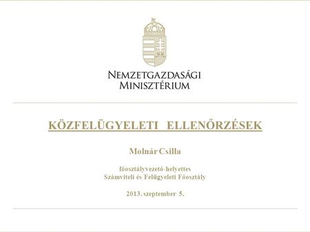 KÖZFELÜGYELETI ELLENŐRZÉSEK Molnár Csilla főosztályvezető-helyettes Számviteli és Felügyeleti Főosztály 2013. szeptember 5.