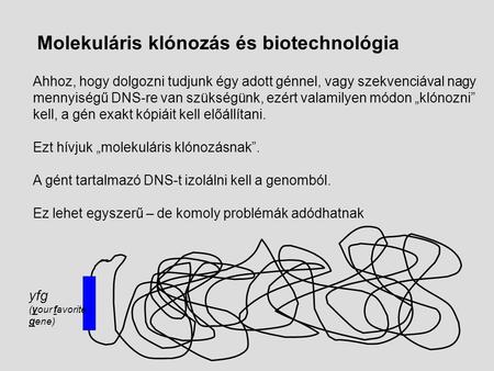 Ahhoz, hogy dolgozni tudjunk égy adott génnel, vagy szekvenciával nagy mennyiségű DNS-re van szükségünk, ezért valamilyen módon „klónozni” kell, a gén.
