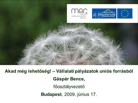 Akad még lehetőség! – Vállalati pályázatok uniós forrásból Gáspár Bence, főosztályvezető Budapest, 2009. június 17.