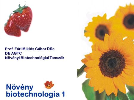 Növény biotechnologia 1 Prof. Fári Miklós Gábor DSc DE AGTC Növényi Biotechnológiai Tanszék.
