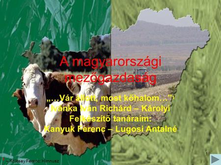 A magyarországi mezőgazdaság