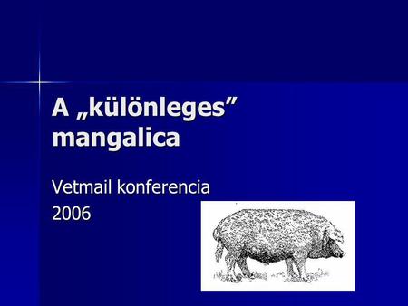 A „különleges” mangalica Vetmail konferencia 2006.