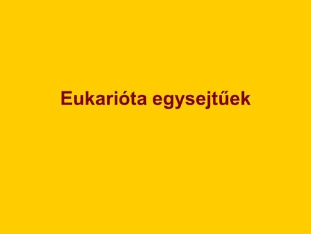 Eukarióta egysejtűek.