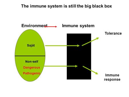 Environment Saját Non-self Dangerous Pathogenic Immune system Tolerance Immune response The immune system is still the big black box.