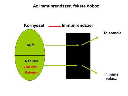Környezet Saját Non-self Veszelyes, Patogén Immunrendszer Tolerancia Immune válasz Az Immunrendszer, fekete doboz.