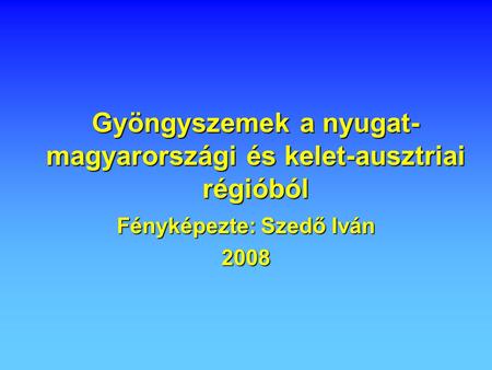 Gyöngyszemek a nyugat- magyarországi és kelet-ausztriai régióból Fényképezte: Szedő Iván 2008.