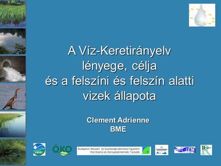 A Víz-Keretirányelv lényege, célja és a felszíni és felszín alatti vizek állapota Clement Adrienne BME.