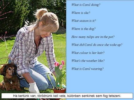 What is Carol doing? Where is she? What season is it? Where is the dog? How many tulips are in the pot? What did Carol do once she woke up? What colour.