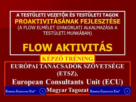EURÓPAI TANÁCSADÓK SZÖVETSÉGE (ETSZ), European Consultants Unit (ECU)