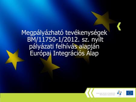 Megpályázható tevékenységek BM/11750-1/2012. sz. nyílt pályázati felhívás alapján Európai Integrációs Alap.