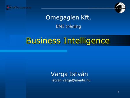 1 Business Intelligence Omegaglen Kft. EMI tréning EMI tréning Varga István