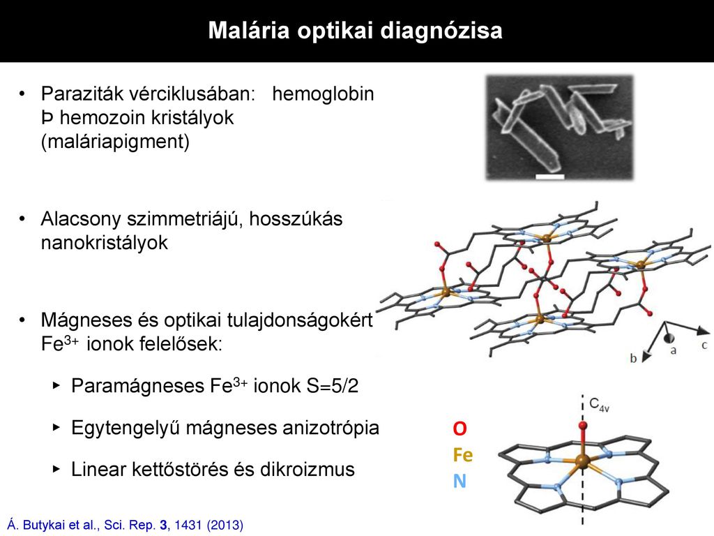 Malária optikai diagnózisa