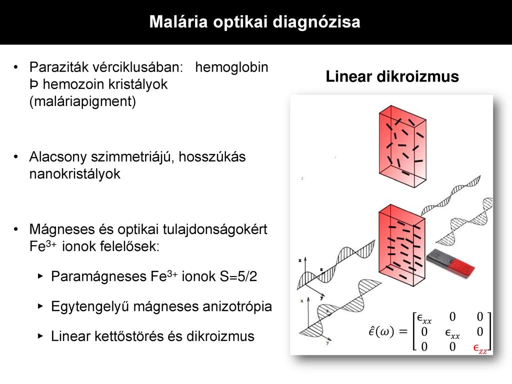 Malária optikai diagnózisa
