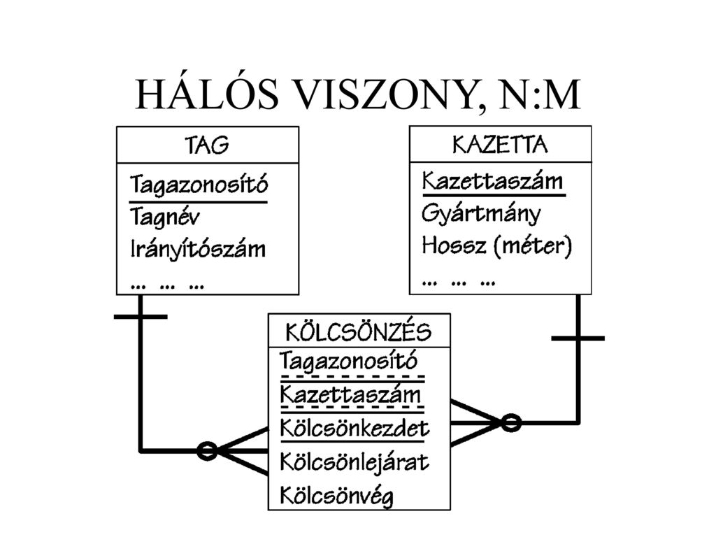 HÁLÓS VISZONY, N:M