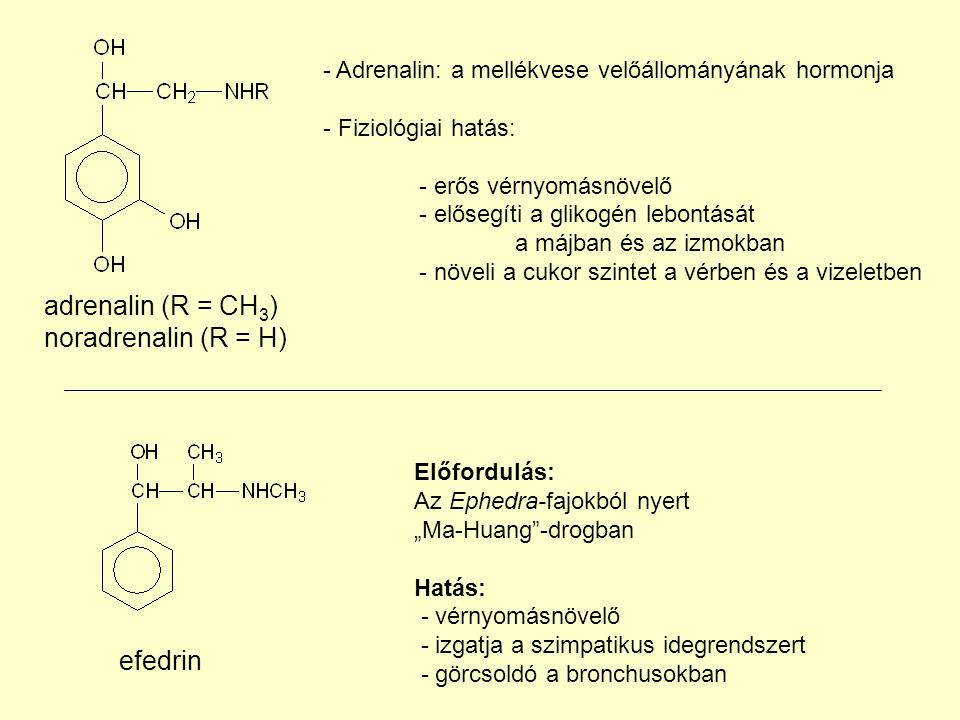 adrenalin (R = CH3) noradrenalin (R = H) efedrin