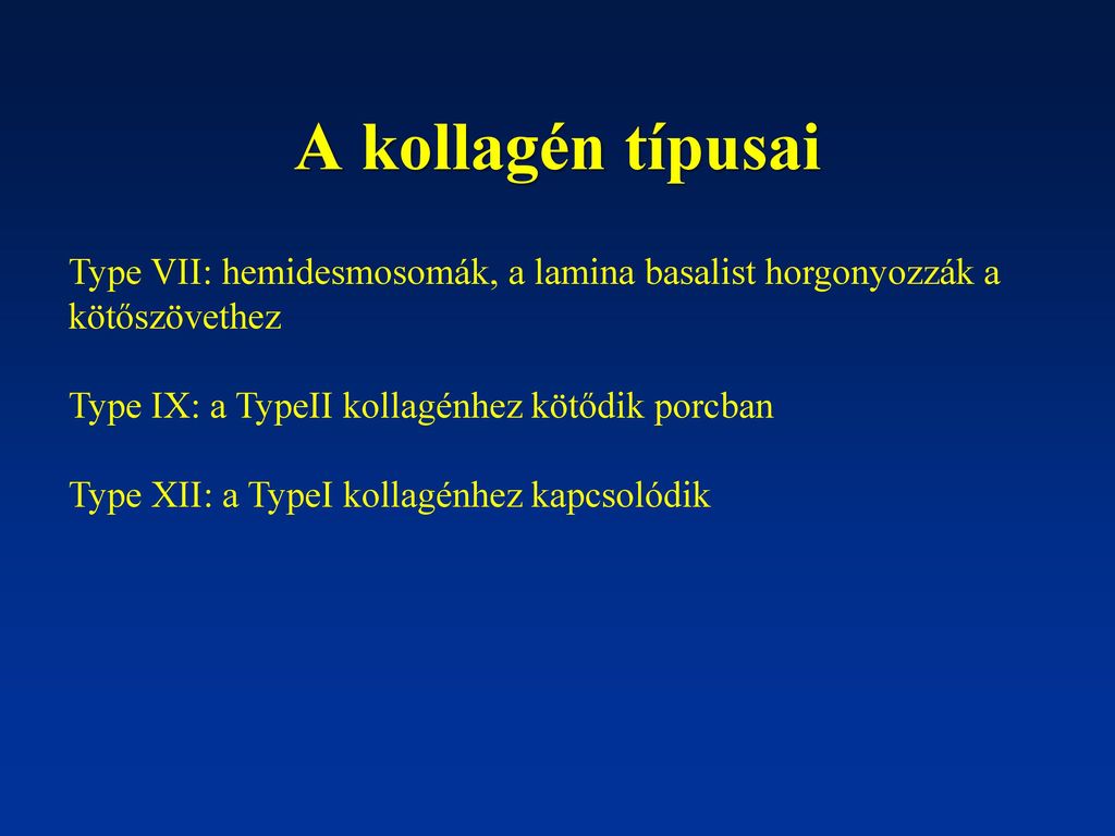 A kollagén típusai Type VII: hemidesmosomák, a lamina basalist horgonyozzák a kötőszövethez. Type IX: a TypeII kollagénhez kötődik porcban.