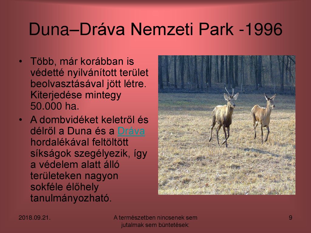 Duna–Dráva Nemzeti Park -1996
