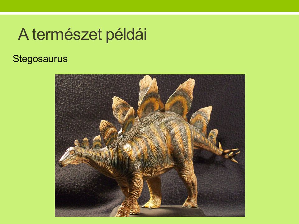 A természet példái Stegosaurus