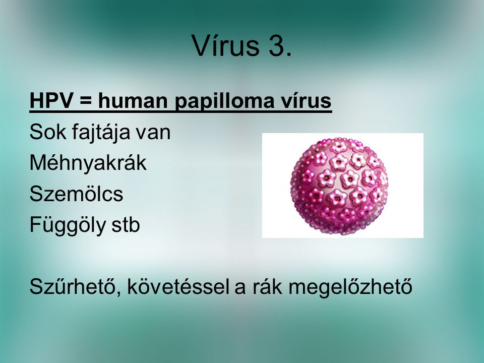 Vírus 3. HPV = human papilloma vírus Sok fajtája van Méhnyakrák
