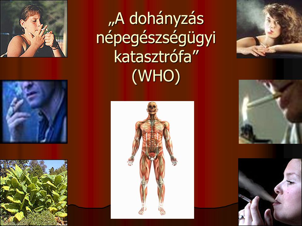 „A dohányzás népegészségügyi katasztrófa (WHO)